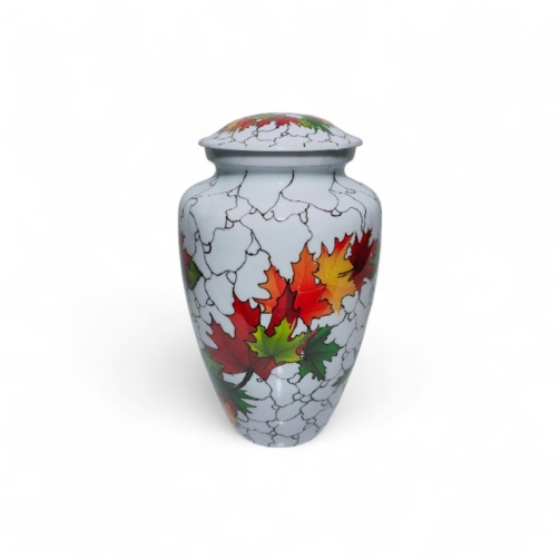 IMG20200802224137-Photoroom