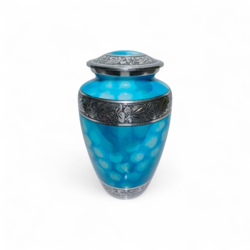 IMG20200802225936-Photoroom