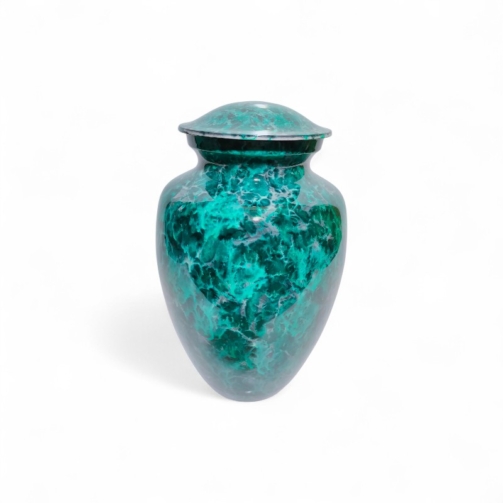 IMG20200802230650-Photoroom