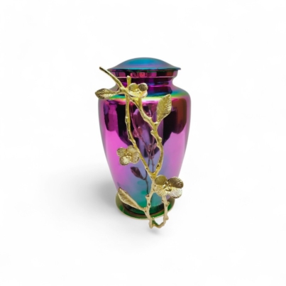 IMG20200802234738-Photoroom